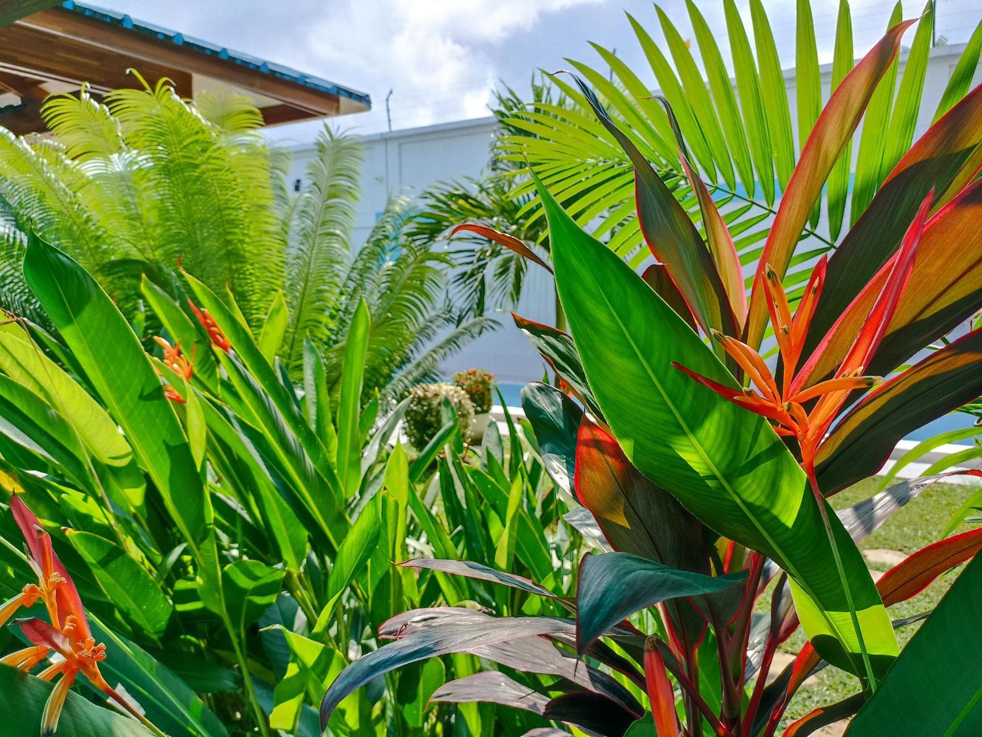 Morona Flats & Pool - 70 M2 Apartamento Iquitos Exterior foto